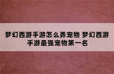 梦幻西游手游怎么弄宠物 梦幻西游手游最强宠物第一名